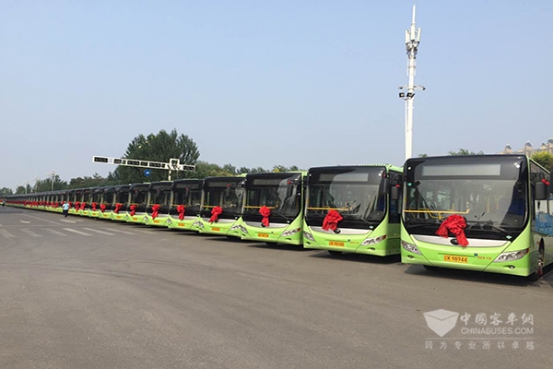 宇通新能源公交車隊(duì)
