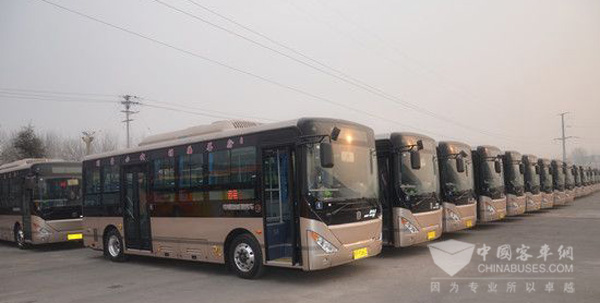 山東聊城180臺中通純電動公交車投運