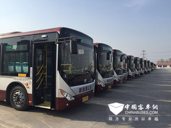 淄博新能源公交車達710輛 占比近5成