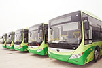 河南：新鄉市今年預計購置260輛新能源公交車