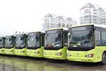 2016年浙江臺州將新添140輛公交車 新能源車成采購主角