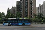 G20峰會,怎么能少得了比亞迪？