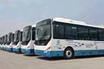 山東：菏澤新增150輛純電動公交車 