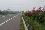 遼寧交通推進四好農村路建設