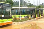 廣西：田陽首批純電動(dòng)公交車投入營運(yùn)