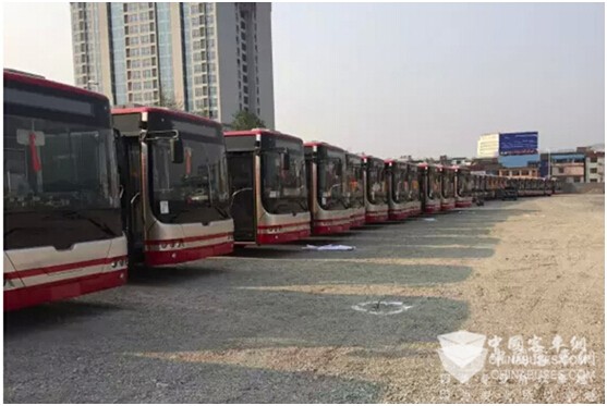 大眾旅游時代，“綠色康機”帶您暢行張家界