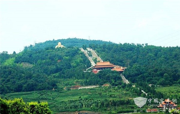 在云南彌勒的綠水青山里，遇見中車電動公交