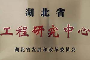 湖北省唯一企業 “車橋技術湖北省工程研究中心”落戶東風德納