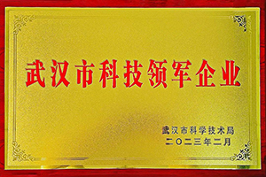 氫能領(lǐng)域唯一企業(yè) 眾宇動(dòng)力榮獲武漢市科技領(lǐng)軍企業(yè)稱號(hào)