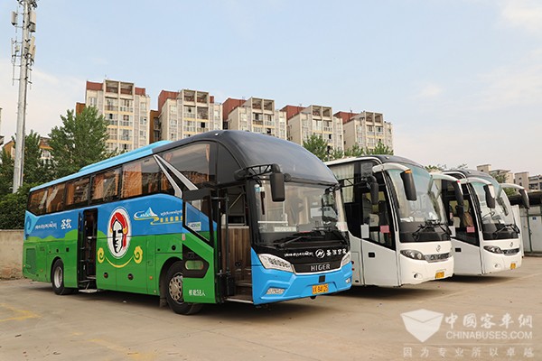 蘇州金龍 旅游客車 睿星車型 新川藏運業(yè)