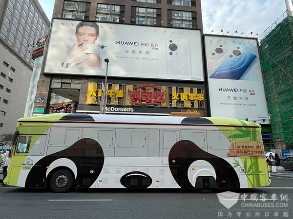 成都公交 杭州公交 熊貓巴士 公交主題車
