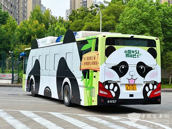成都公交 杭州公交 熊貓巴士 公交主題車