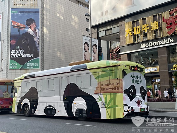 成都公交 杭州公交 熊貓巴士 公交主題車