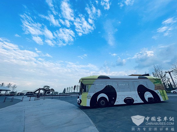 成都公交 杭州公交 熊貓巴士 公交主題車
