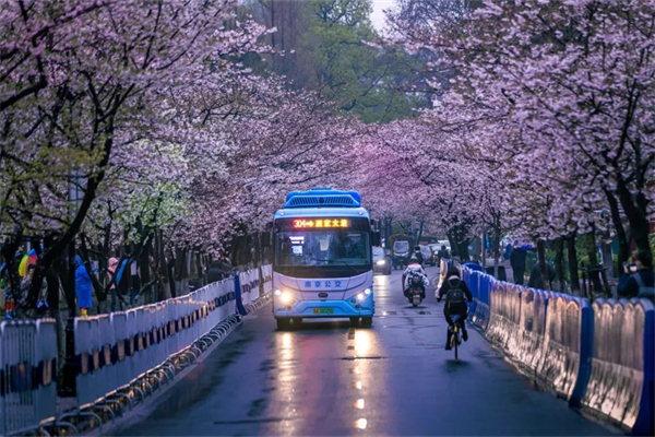 主動(dòng)填補(bǔ)空白、適應(yīng)出行新變化 南京公交2023年做了這些實(shí)事