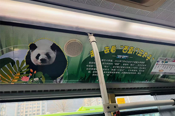 西直門三太子“越獄”成功 北京公交“熊貓家族”文化車廂上線