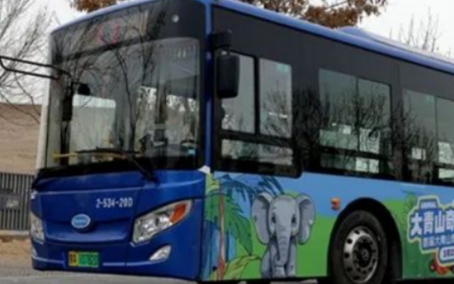 呼和浩特“花樣”公交 帶你走進大青山“奇幻動物之旅”