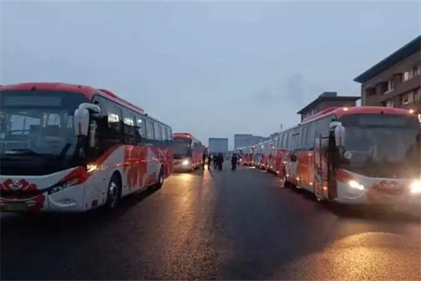 不用趕時間！洛陽公交定制線路助高三學子體檢
