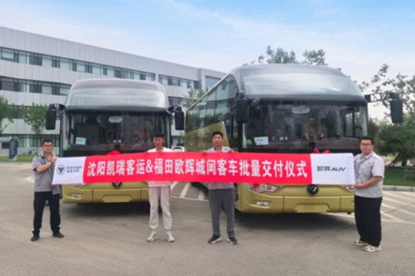 福田歐輝BJ6122批量交付沈陽凱瑞旅游 賦能文旅融合發展新生態