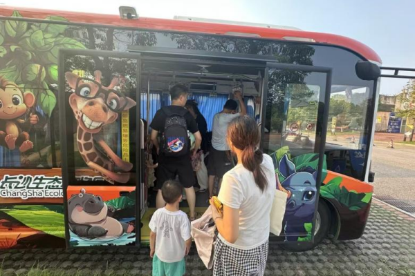長沙“微循環定制生態動物園專線”運營時間延長至晚八點