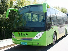 安凱城市觀光車批量進入如皋 成為蘇北新名片