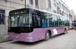 少林首輛全承載公交面市運行